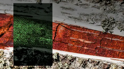 From forests to catwalks - How Nordic countries became a hub for a new textile revolution?